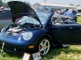 2006 Litchfield Bug In